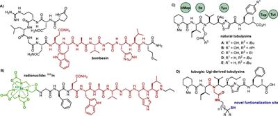 Development of bombesin-tubulysin conjugates using multicomponent chemistry to functionalize both the payload and the homing peptide